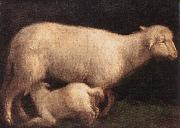BASSANO, Jacopo, Sheep and Lamb dghj